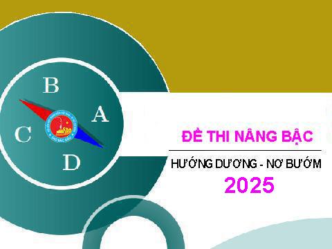 ĐỀ THI NÂNG BẬC 2025 – ĐỀ THI TỰ LUẬN