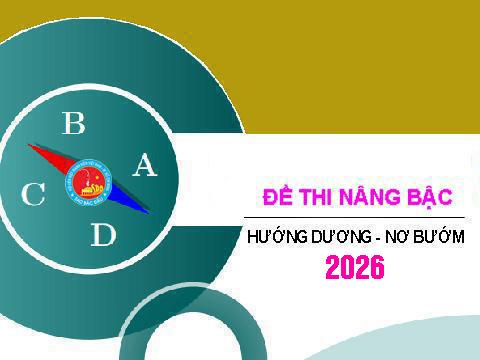 ĐỀ THI NÂNG BẬC 2026 – ĐỀ THI TỰ LUẬN
